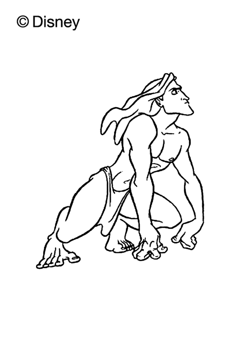 tarzan-001-standard-5di2dr.png