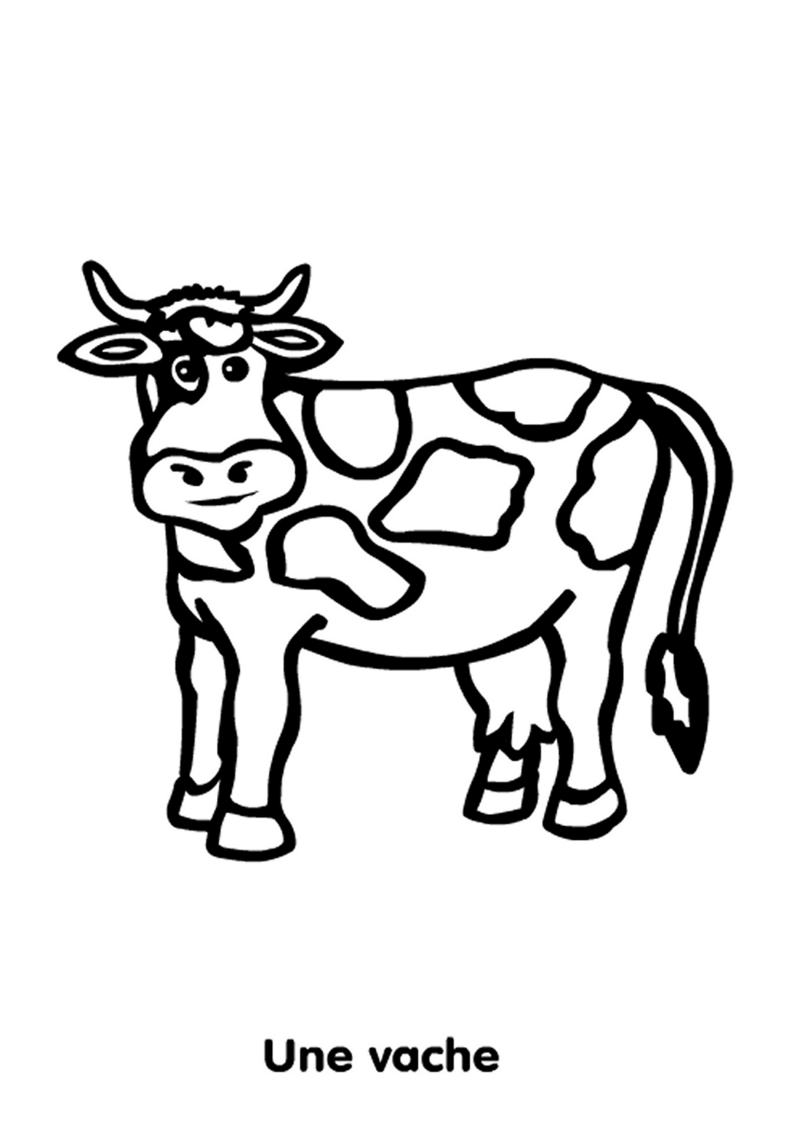 vache-standard-2kzrtv.png