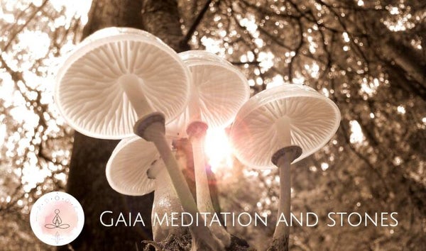 Individuele truffelceremonie - gratis kennismakingsgesprek