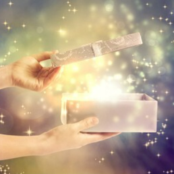 AANBIEDING! Truffelceremonie dagretreat (10 uur lang diepte retreat)