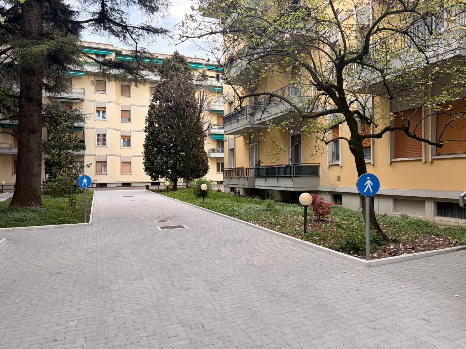 Attico quadri vani zona Cittadella