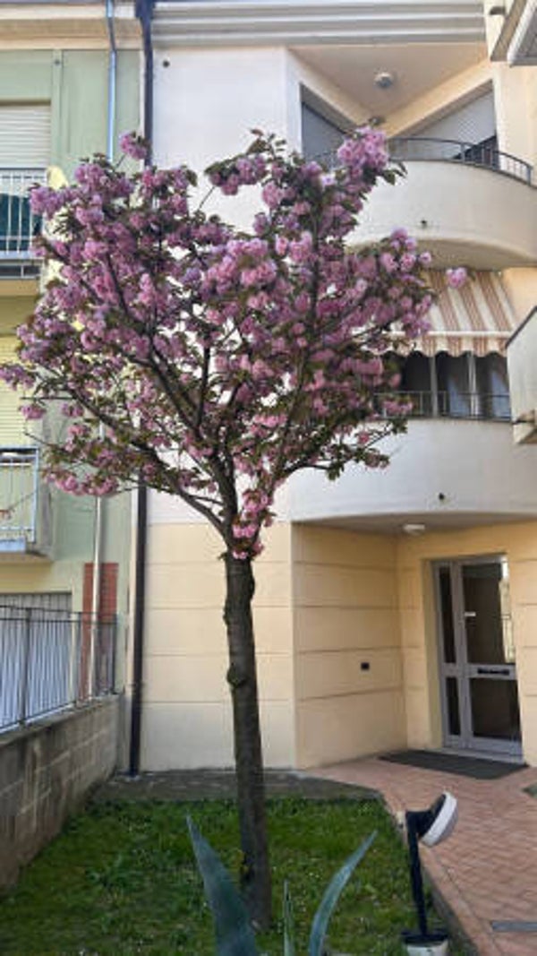 APPARTAMENTO – Pontetaro