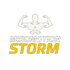 Miromotion
