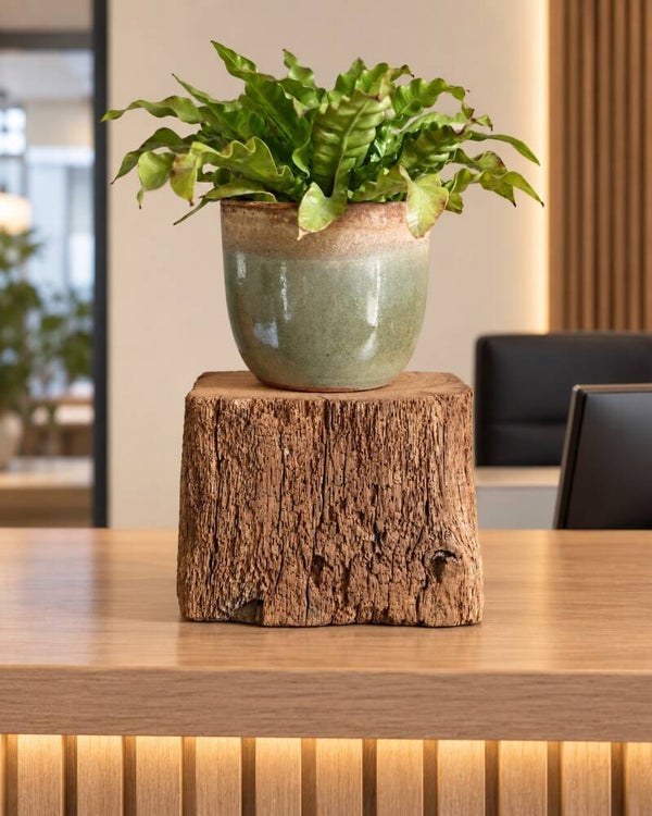 Houten blok - zuil OUD EIKEN boerderijhout H21cm #EB04