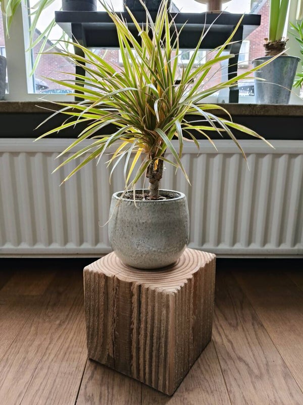 Houten blok - kleine zuil Douglas 20cm