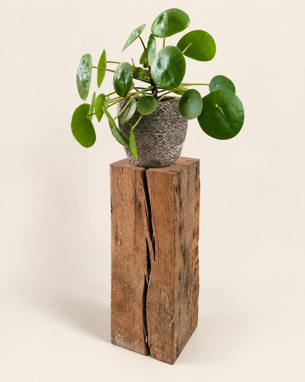 Houten blok - kleine zuil antiek eiken 46cm #AE02