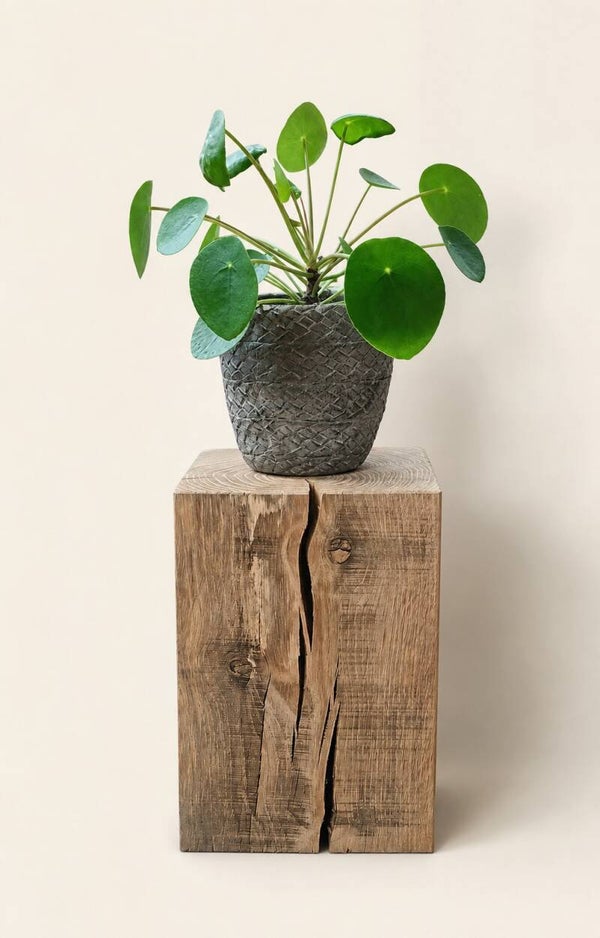 Houten blok - zuil eiken H30cm #ES03