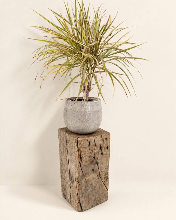 Houten blok - kleine zuil antiek eiken 31,5cm #AE03