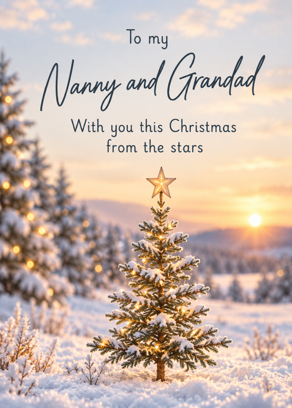 Christmas Card for Nanny & Grandad – Robin on a Snowy Sign