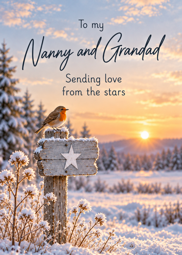 Christmas Card for Nanny & Grandad – Robin on a Snowy Sign