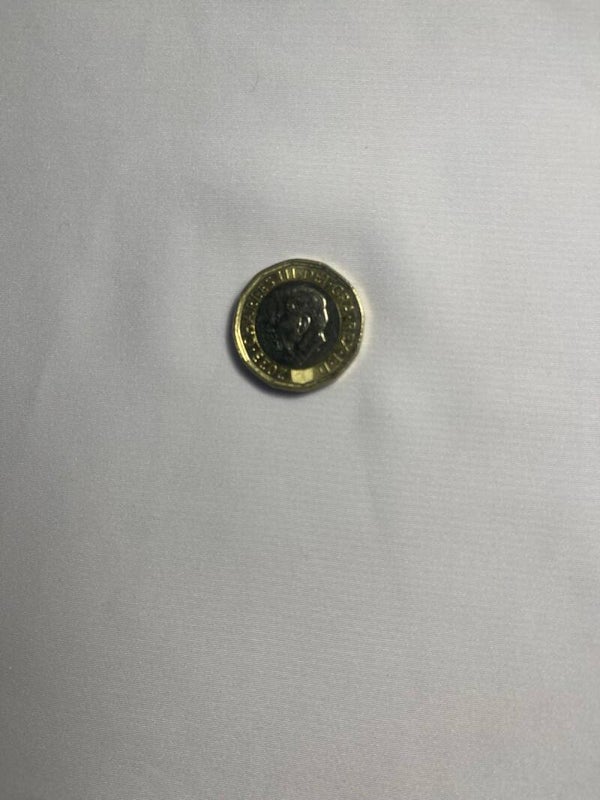 King Charles 111 1 pound coin Bees 2023