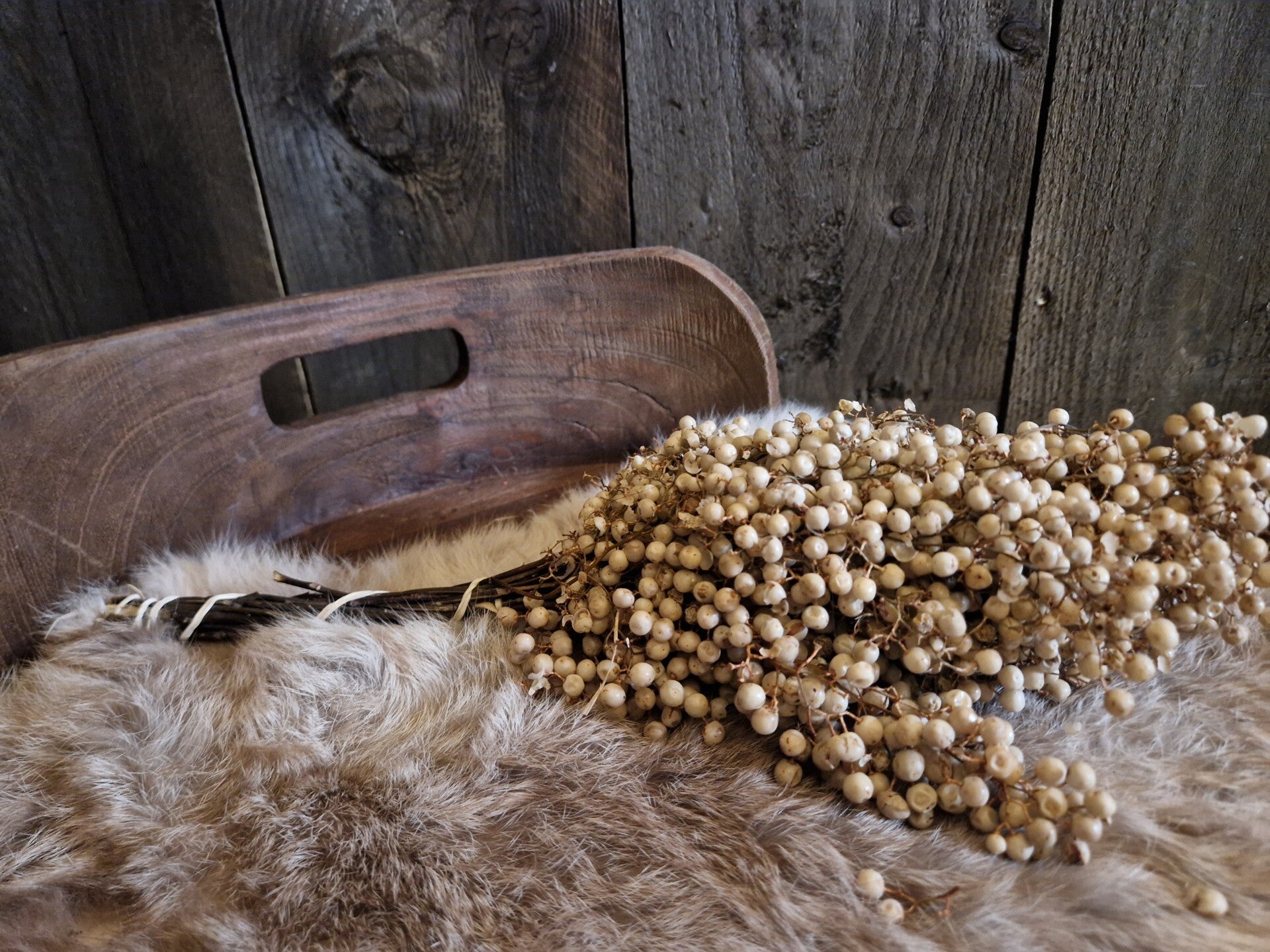 Trockenblume Schneebeere