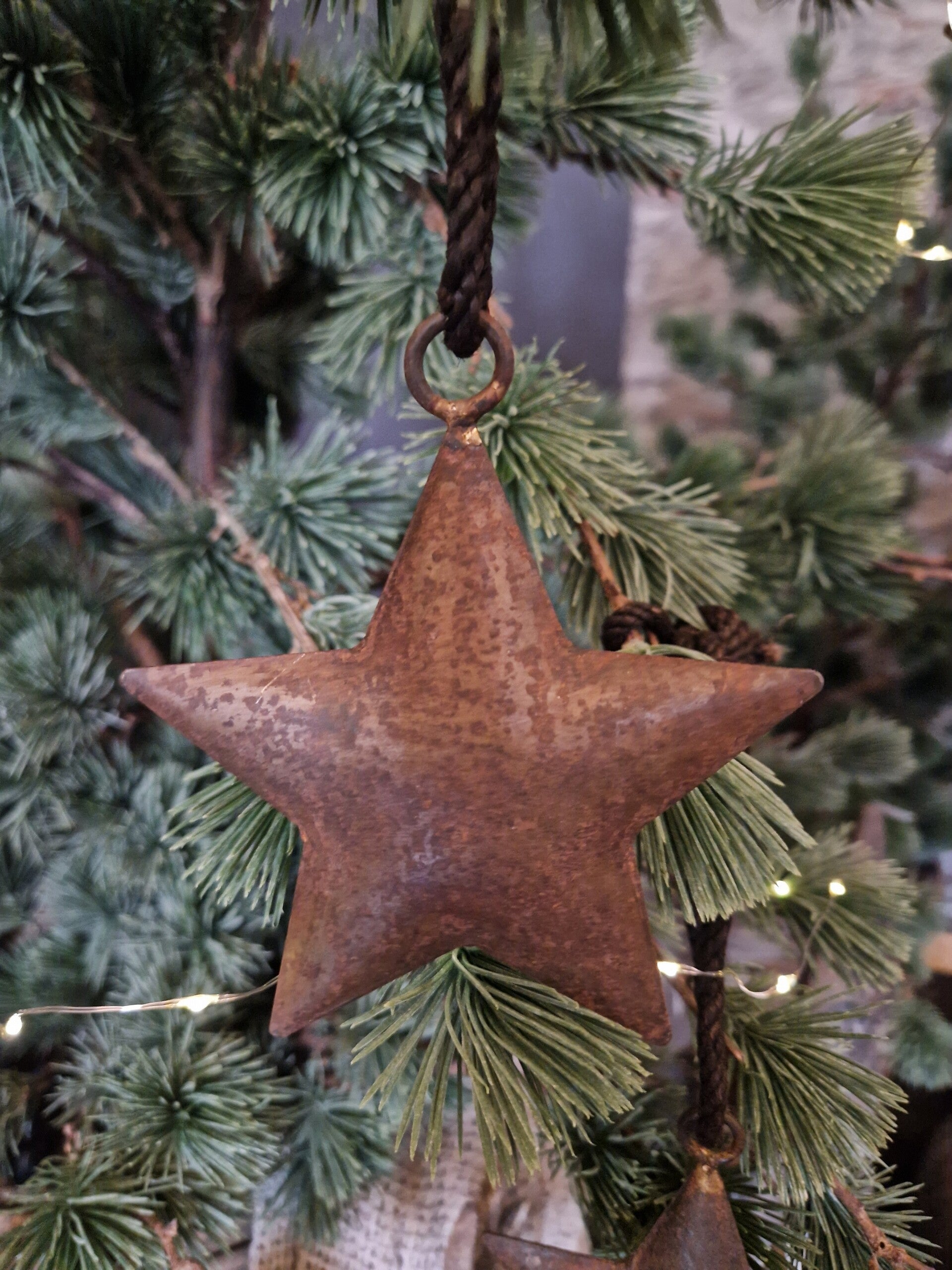 Hängender Roststern