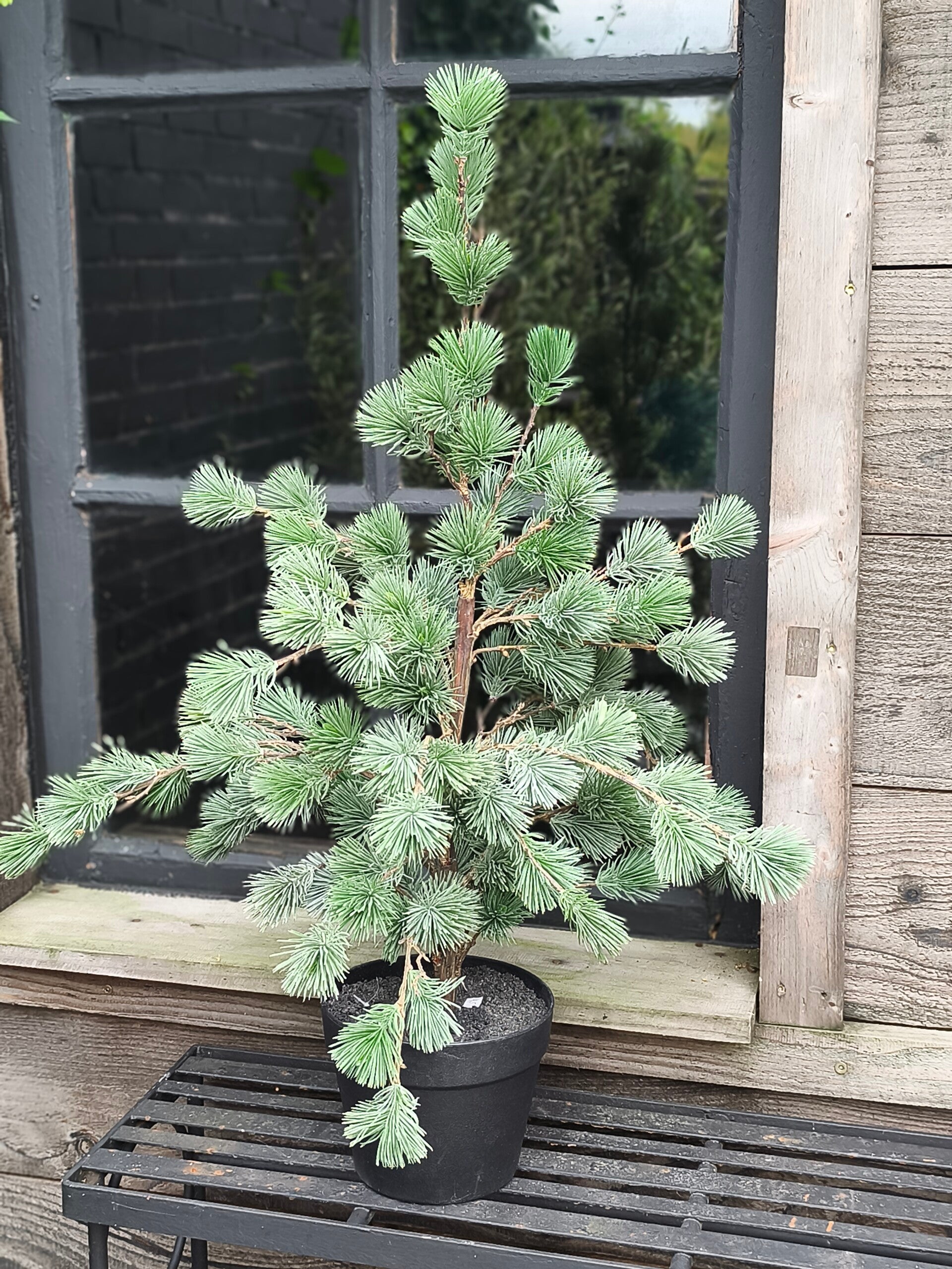 Tannenbaum Künstlich