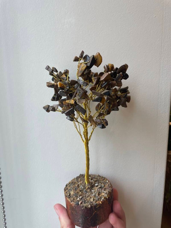 Edelsteenboom Tijgeroog