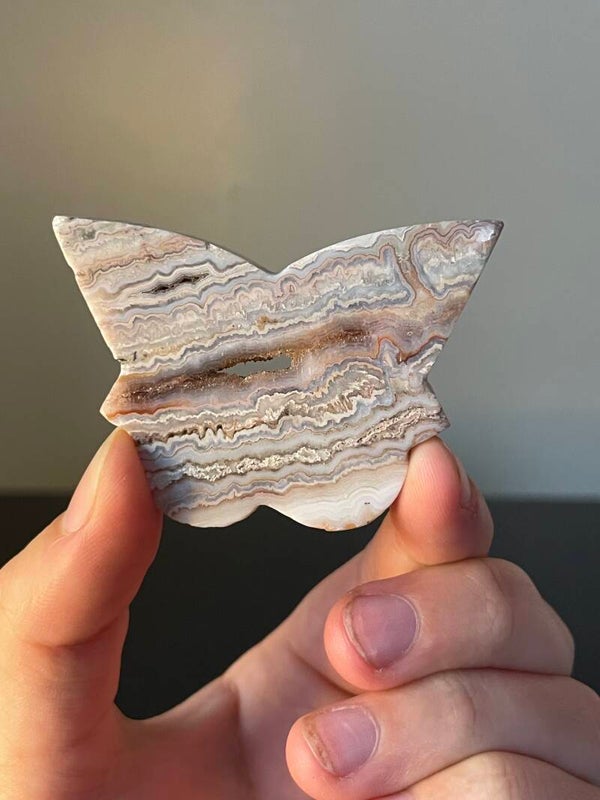 Crazy Lace Agaat Vlinder