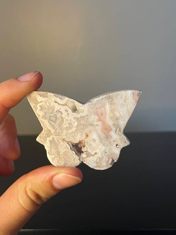 Crazy Lace Agaat Vlinder