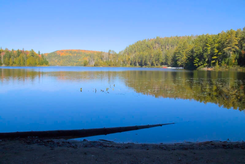 Vue des couleurs d'automne dans la région de la Mauricie au Québec. View of the landscape with fall foliage in the Mauricie region of Quebec, Canada