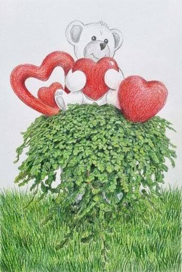 Composition Tendresse – Soleirolia et son Ourson Câlin