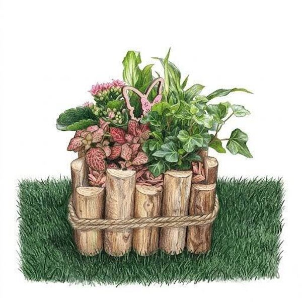 Petit Jardin de Barrière – Composition de Plantes Vertes et Fleuries