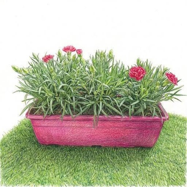 Jardinière "Éclat Saisonnier" – Duo d'œillets en Jardinière Design