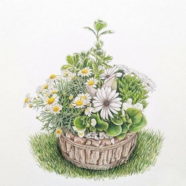 Corbeille "Blancheur Campagnarde" – Composition Printanière en Pot d'Écorce