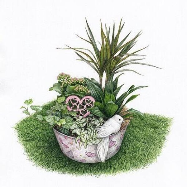"Nid de Tendresse" – Coupe Fleurie Papillons & Colombe Blanche