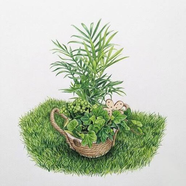 "Échappée Verte" – Coupe Paysagère & Papillon Polka