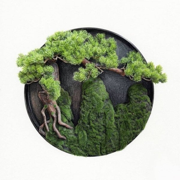 Tableau Végétal Rond – Paysage Bonsaï et Mousse Stabilisée