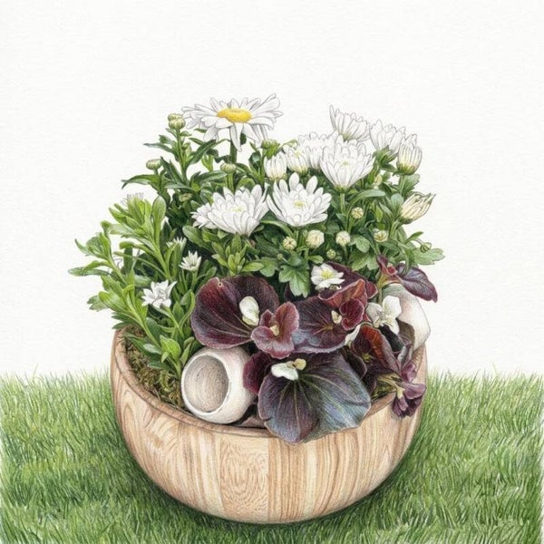 Coupe boisée champêtre – Chrysanthèmes, Marguerite & Bégonia