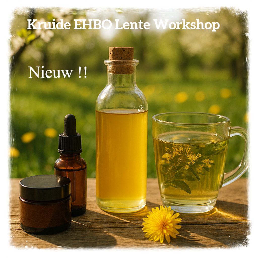 Zelf maken: vlierbessiroop, geneeskrachtige zalf en kruidenmix – herfstworkshop natuurlijke EHBO