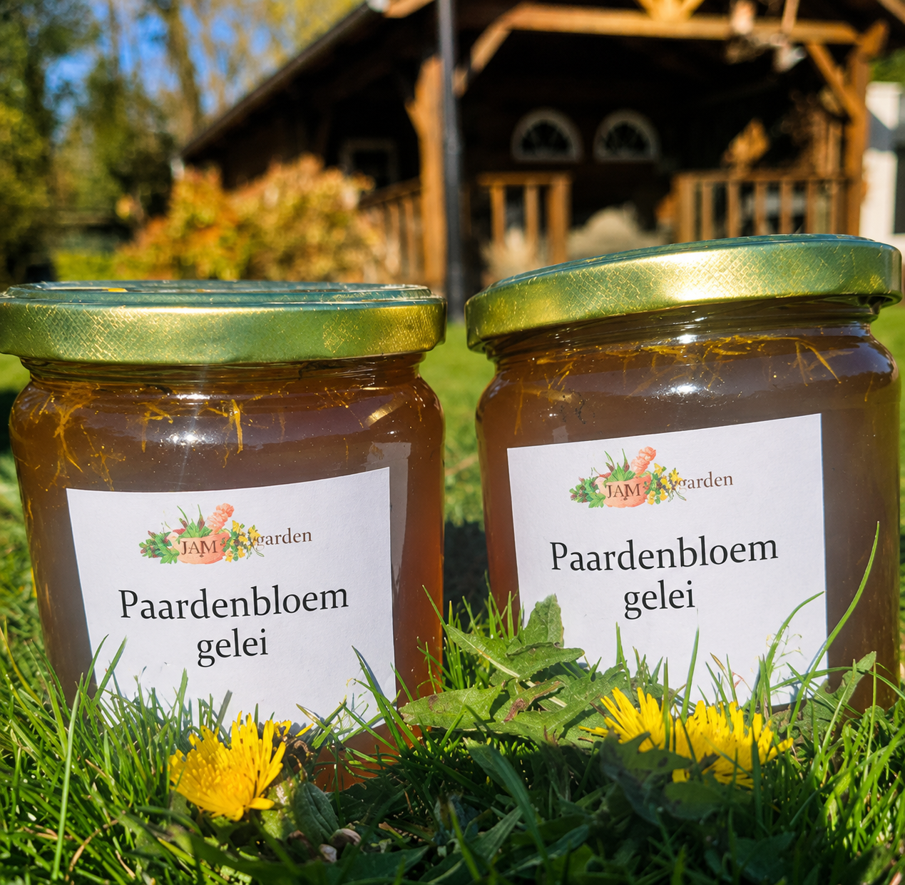 Paardenbloem gelei