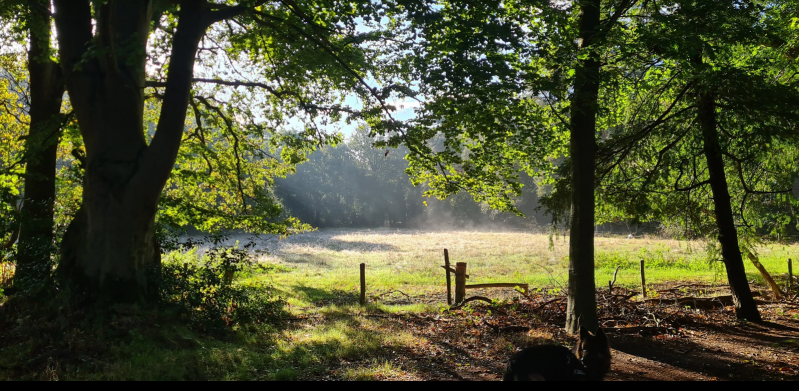 Wandeling in de natuur in en rondom Breda
