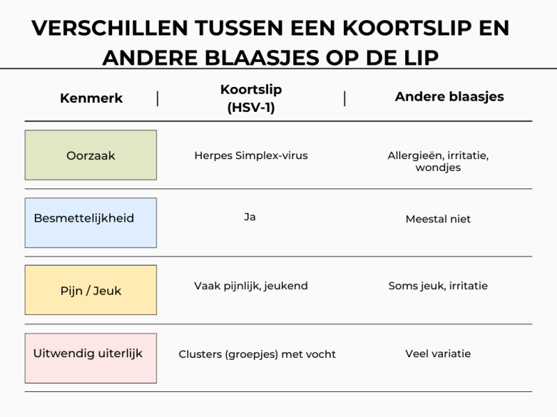Blaasje op de lip, maar geen koortslip: wat kan het zijn?