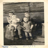 116-standard-l1ta1e.jpg