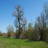 an-der-reuss-1-standard.jpg