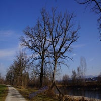 b-ume-an-der-reuss-1-standard.jpg
