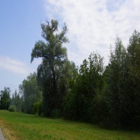 dsc02462-standard.jpg