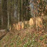gef-llte-b-ume-standard.jpg