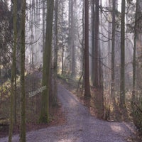 gegegenlichtaufnahme-n-he-jagdthaus-lemen-standard.jpg