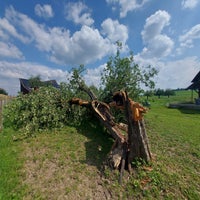 sturmsch-den-2-standard.jpg