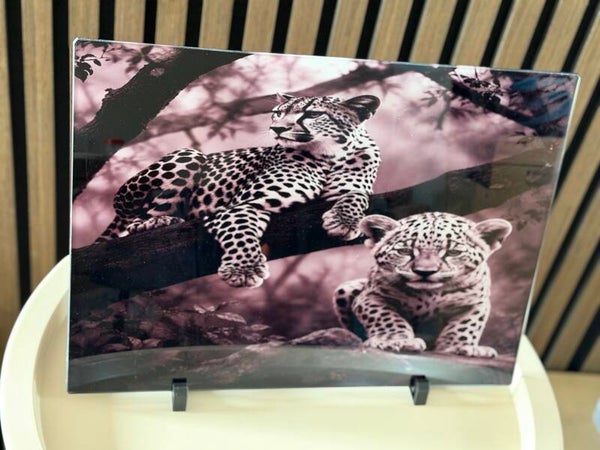 Glasplaat Jaguar