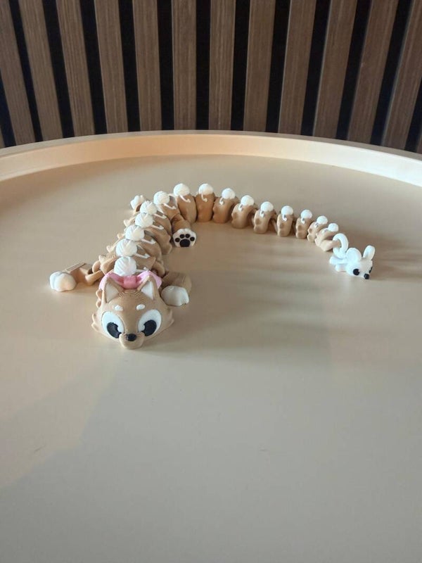 Gril Cat Dragon