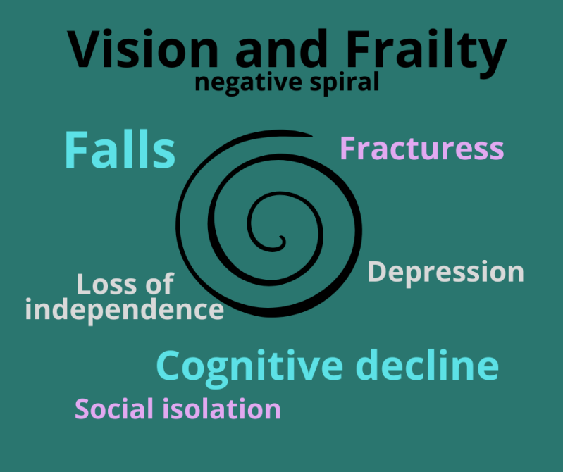 poster entitled 'vision and frailty' and showing associated factors