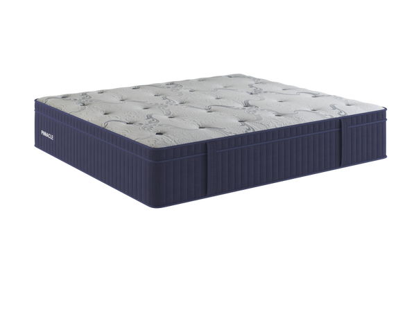 Pinnacle 2500 Hybrid Euro Top
