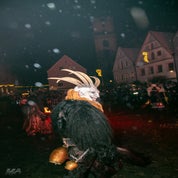 weiden-05-01-217-standard.jpg
