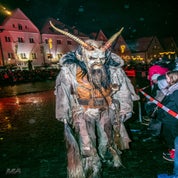 weiden-05-01-222-standard.jpg