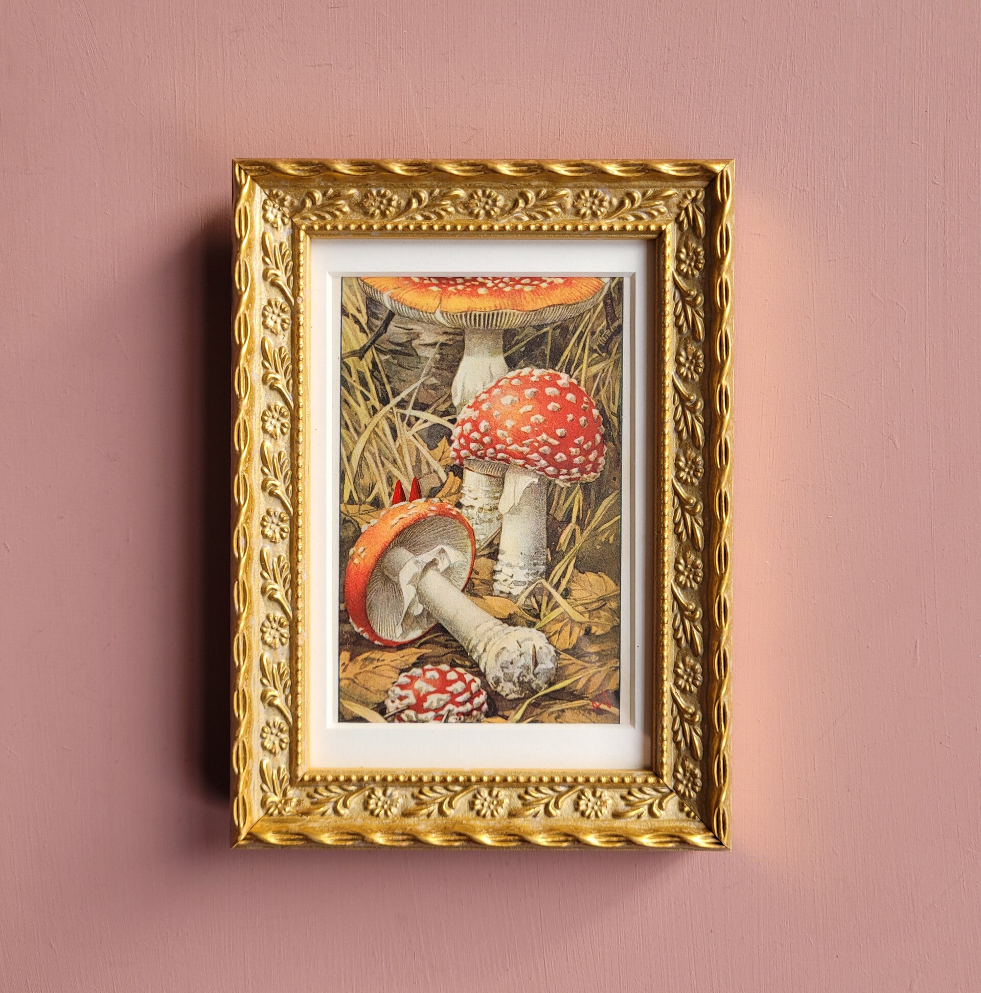 Kabouters gaan op zoek naar een nieuw huis