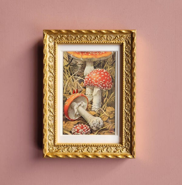 Kabouters gaan op zoek naar een nieuw huis