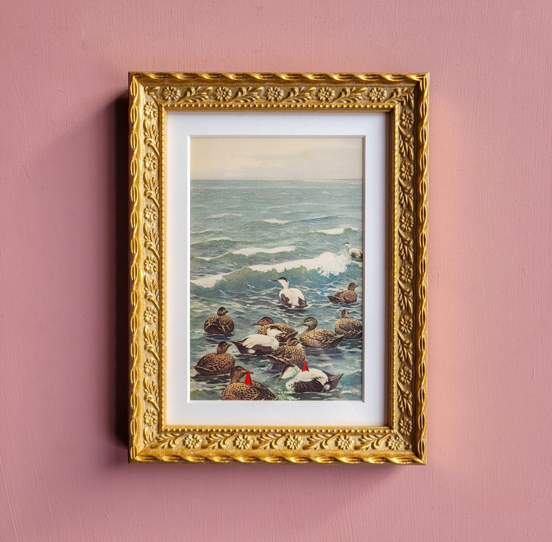 Kabouters gaan een stukje varen